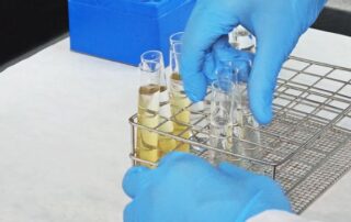 Elastika by Avanzare