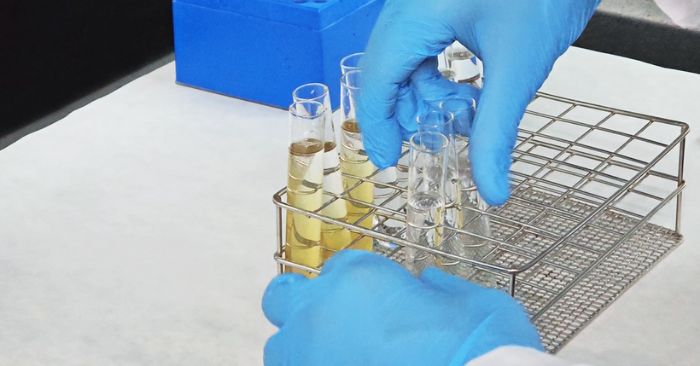 Elastika by Avanzare